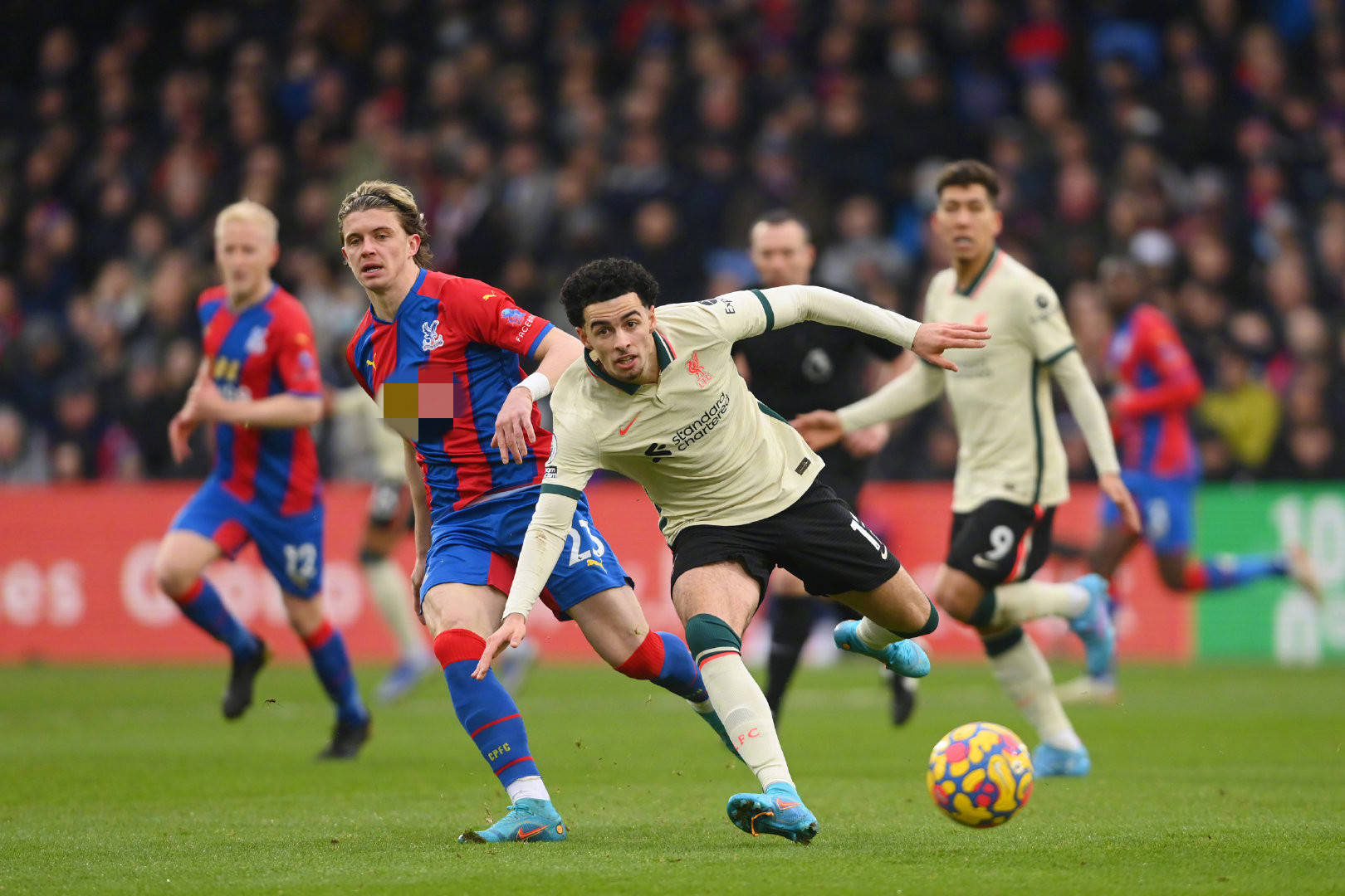 马逊雨林到 马逊雨林到